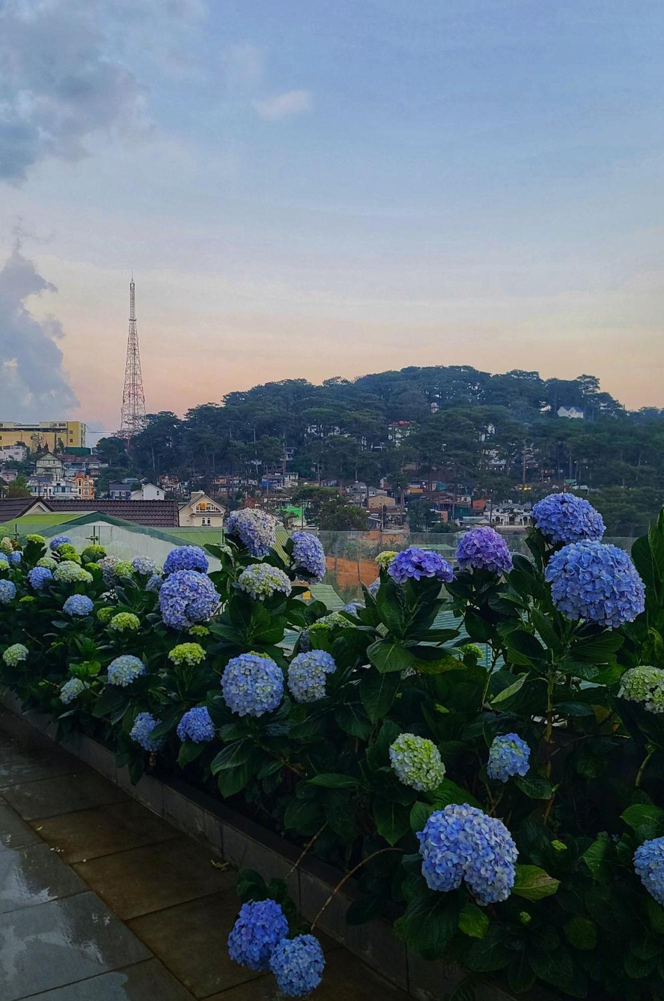 The Luxe Da Lat Hotel Exterior photo